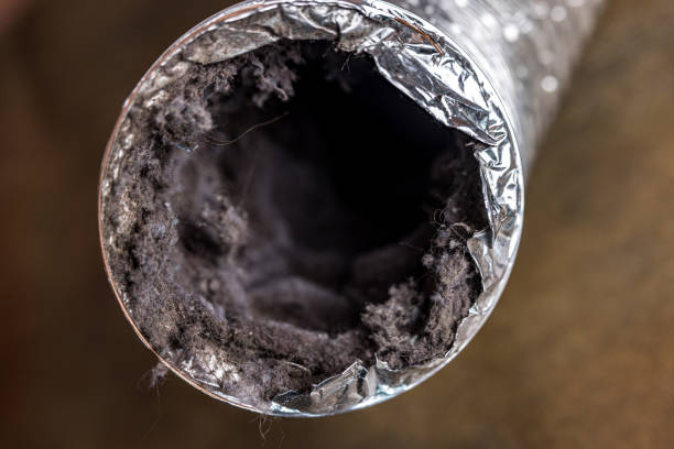 Best Professional Duct Cleaning Services  in North East, MD