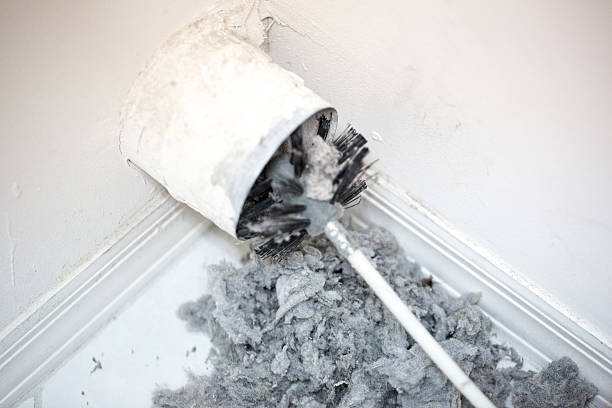 Best HVAC System Cleaning  in North East, MD