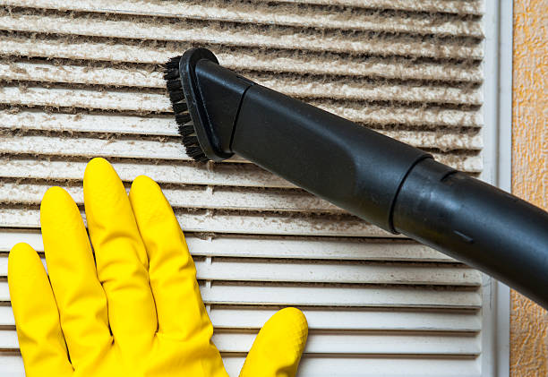 Best Air Duct Cleaning Near Me  in North East, MD